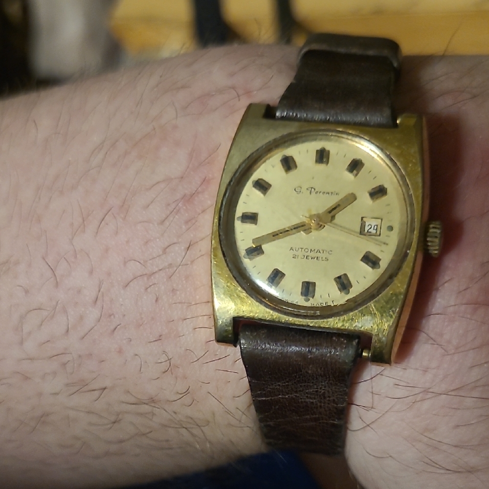 Gold and Brown Automatic Watch